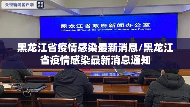 黑龙江省疫情感染最新消息/黑龙江省疫情感染最新消息通知