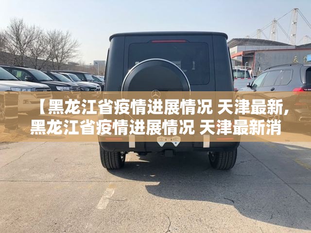 【黑龙江省疫情进展情况 天津最新,黑龙江省疫情进展情况 天津最新消息】
