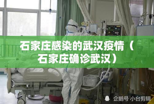 石家庄感染的武汉疫情（石家庄确诊武汉）
