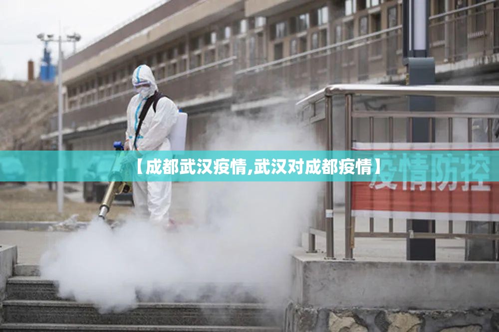 【成都武汉疫情,武汉对成都疫情】