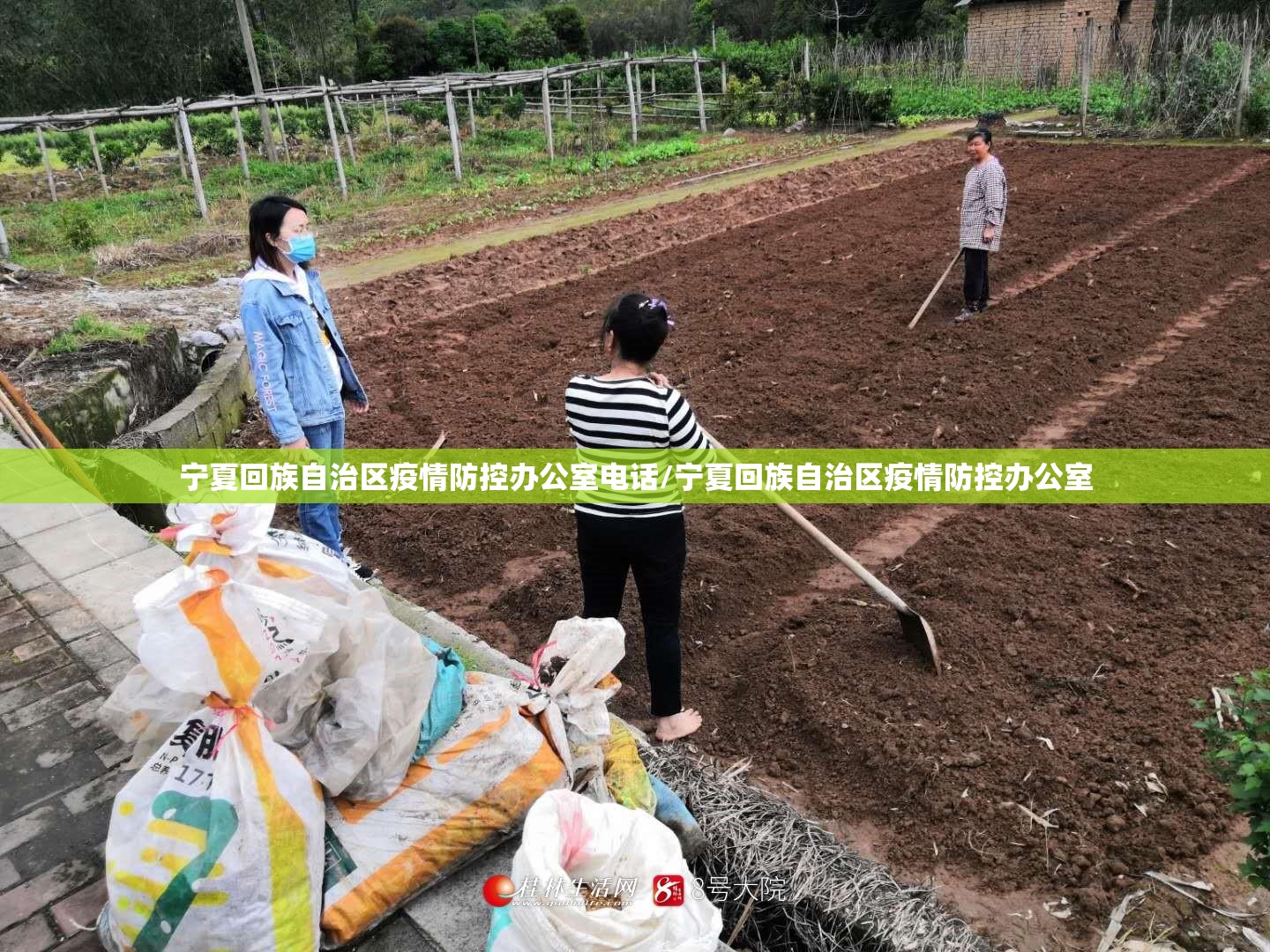 宁夏回族自治区疫情防控办公室电话/宁夏回族自治区疫情防控办公室
