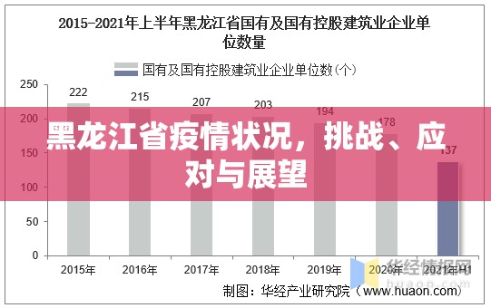 黑龙江省疫情状况，挑战、应对与展望