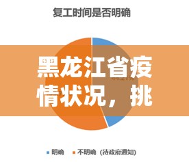 黑龙江省疫情状况，挑战、应对与展望