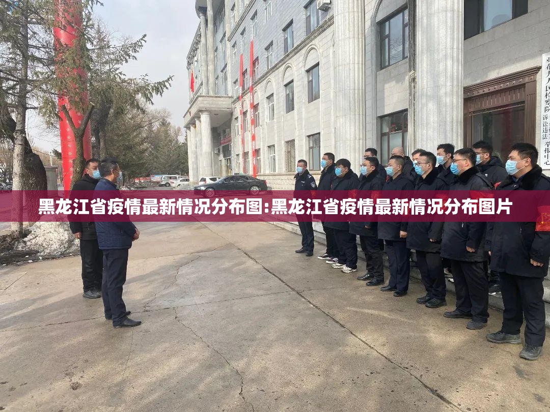 黑龙江省疫情最新情况分布图:黑龙江省疫情最新情况分布图片