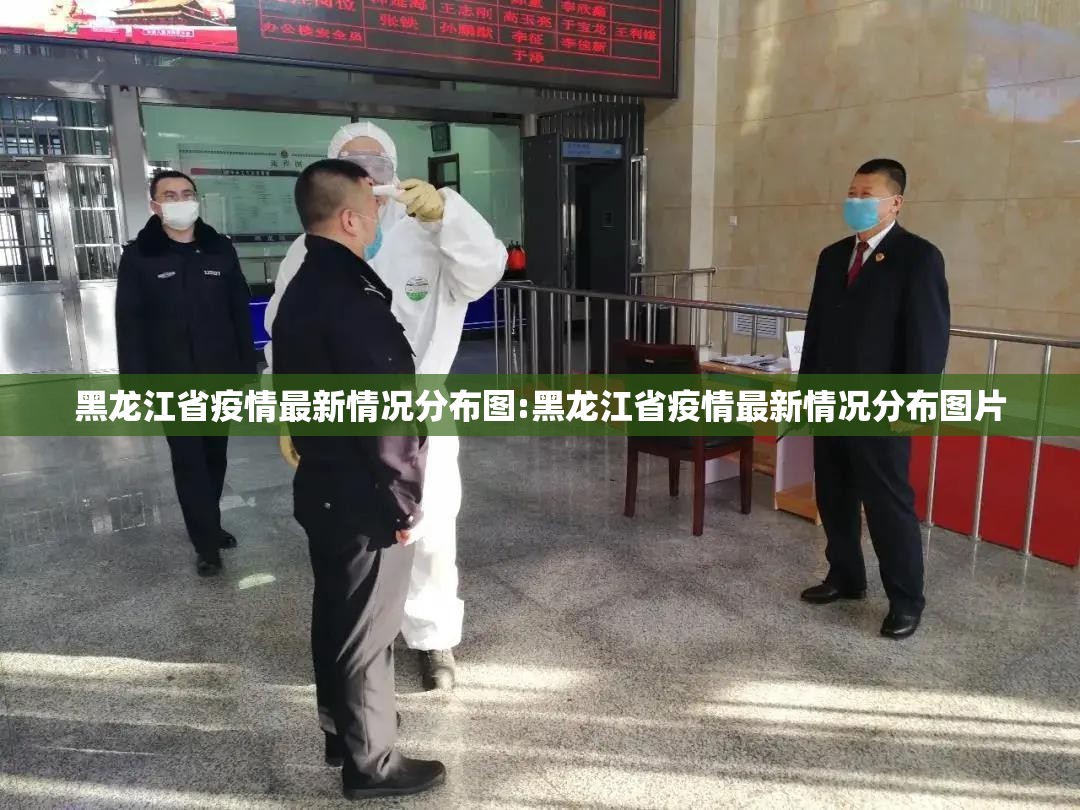 黑龙江省疫情最新情况分布图:黑龙江省疫情最新情况分布图片