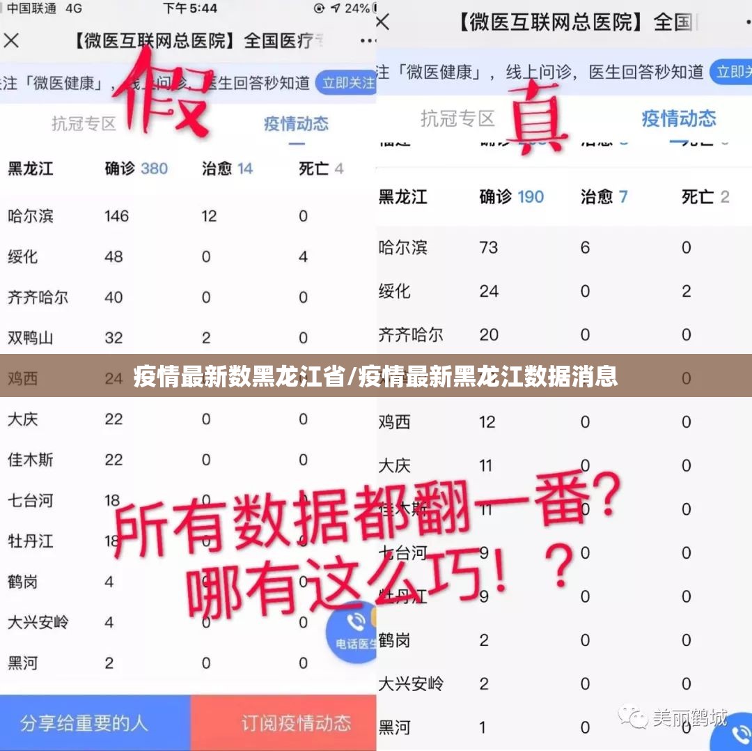 疫情最新数黑龙江省/疫情最新黑龙江数据消息