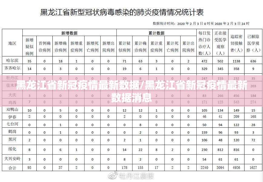 黑龙江省新冠疫情最新数据/黑龙江省新冠疫情最新数据消息