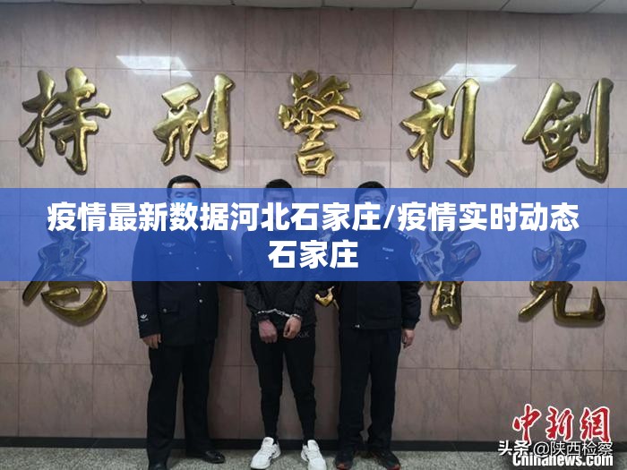 疫情最新数据河北石家庄/疫情实时动态石家庄
