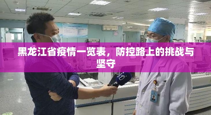 黑龙江省疫情一览表，防控路上的挑战与坚守