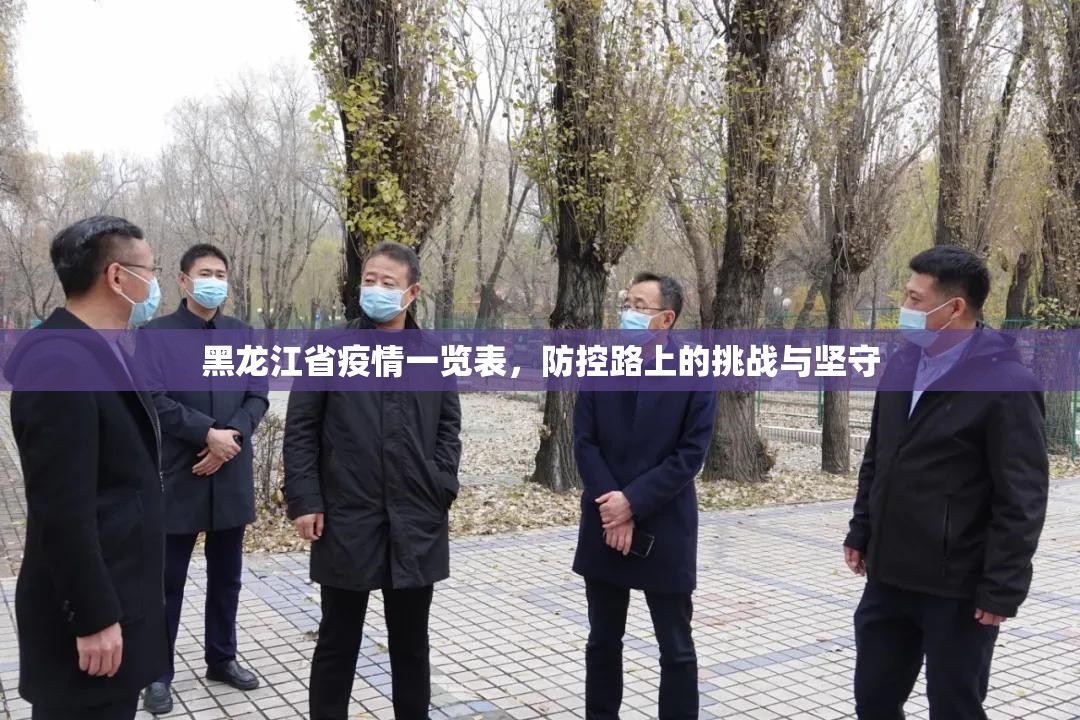 黑龙江省疫情一览表，防控路上的挑战与坚守
