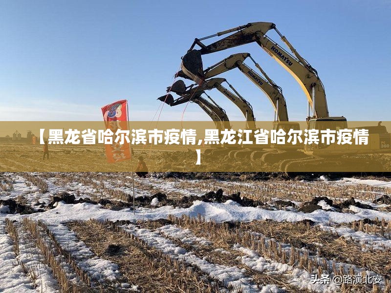 【黑龙省哈尔滨市疫情,黑龙江省哈尔滨市疫情】