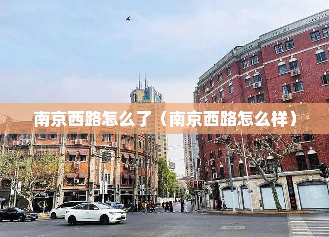 南京西路怎么了（南京西路怎么样）