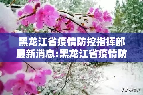 黑龙江省疫情防控指挥部最新消息:黑龙江省疫情防控指挥部最新消息通知