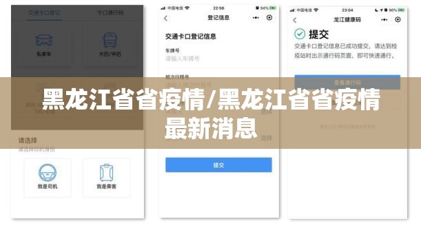 黑龙江省省疫情/黑龙江省省疫情最新消息