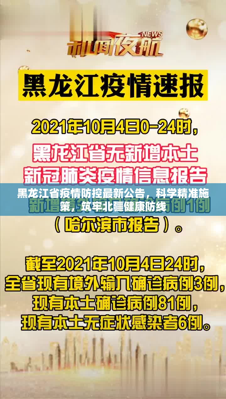 黑龙江省疫情防控最新公告，科学精准施策，筑牢北疆健康防线