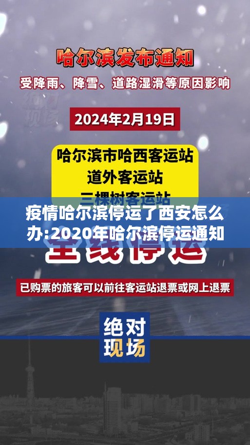 疫情哈尔滨停运了西安怎么办:2020年哈尔滨停运通知