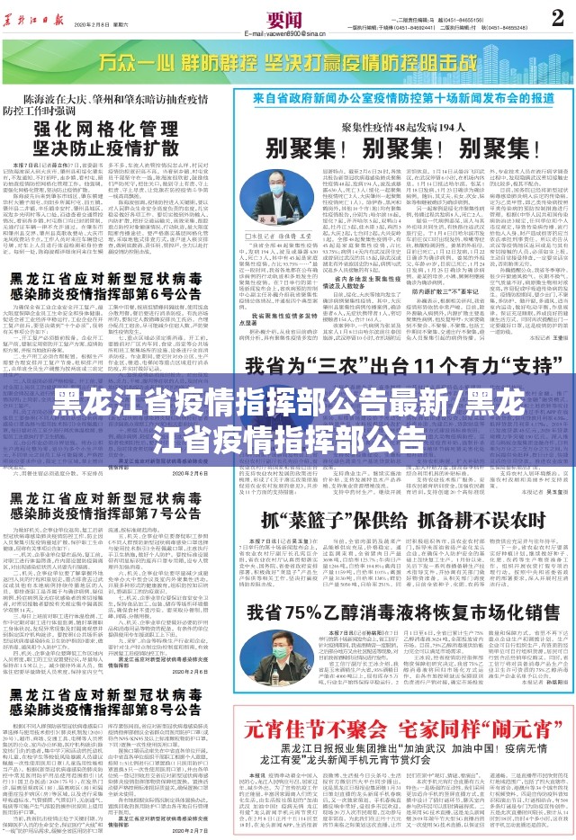 黑龙江省疫情指挥部公告最新/黑龙江省疫情指挥部公告