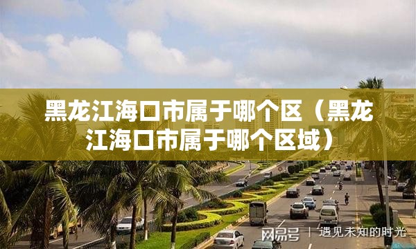 黑龙江海口市属于哪个区（黑龙江海口市属于哪个区域）
