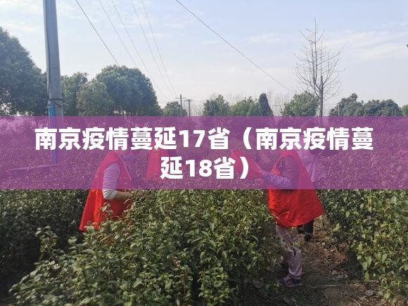 南京疫情蔓延17省（南京疫情蔓延18省）
