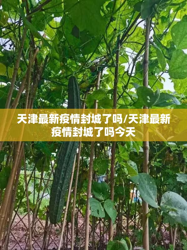 天津最新疫情封城了吗/天津最新疫情封城了吗今天