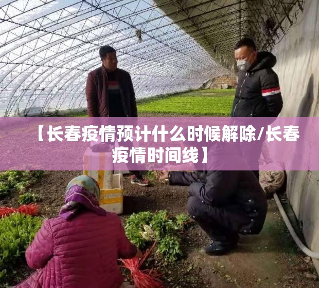 【长春疫情预计什么时候解除/长春疫情时间线】