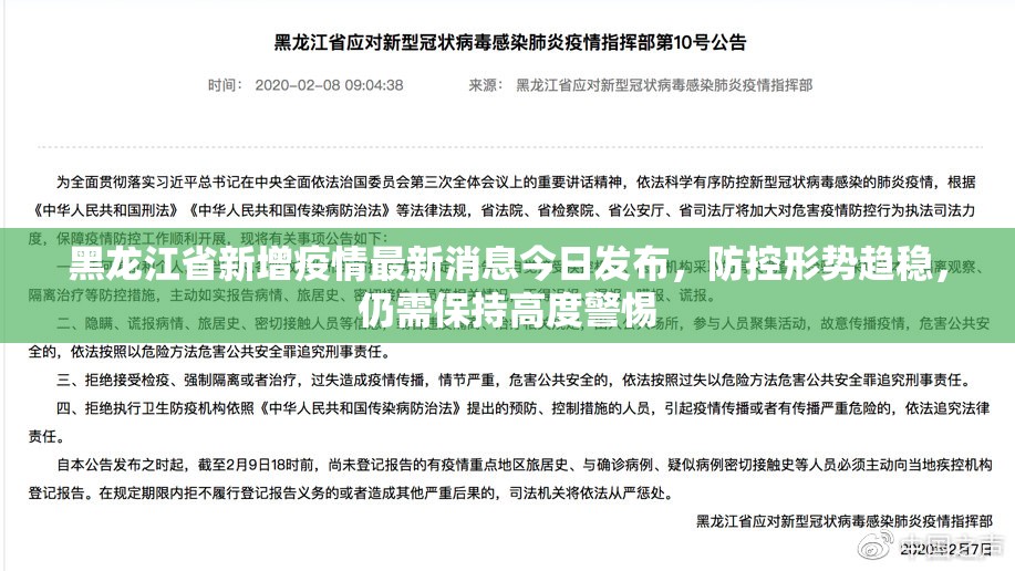 黑龙江省新增疫情最新消息今日发布，防控形势趋稳，仍需保持高度警惕