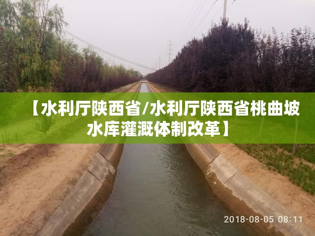 【水利厅陕西省/水利厅陕西省桃曲坡水库灌溉体制改革】