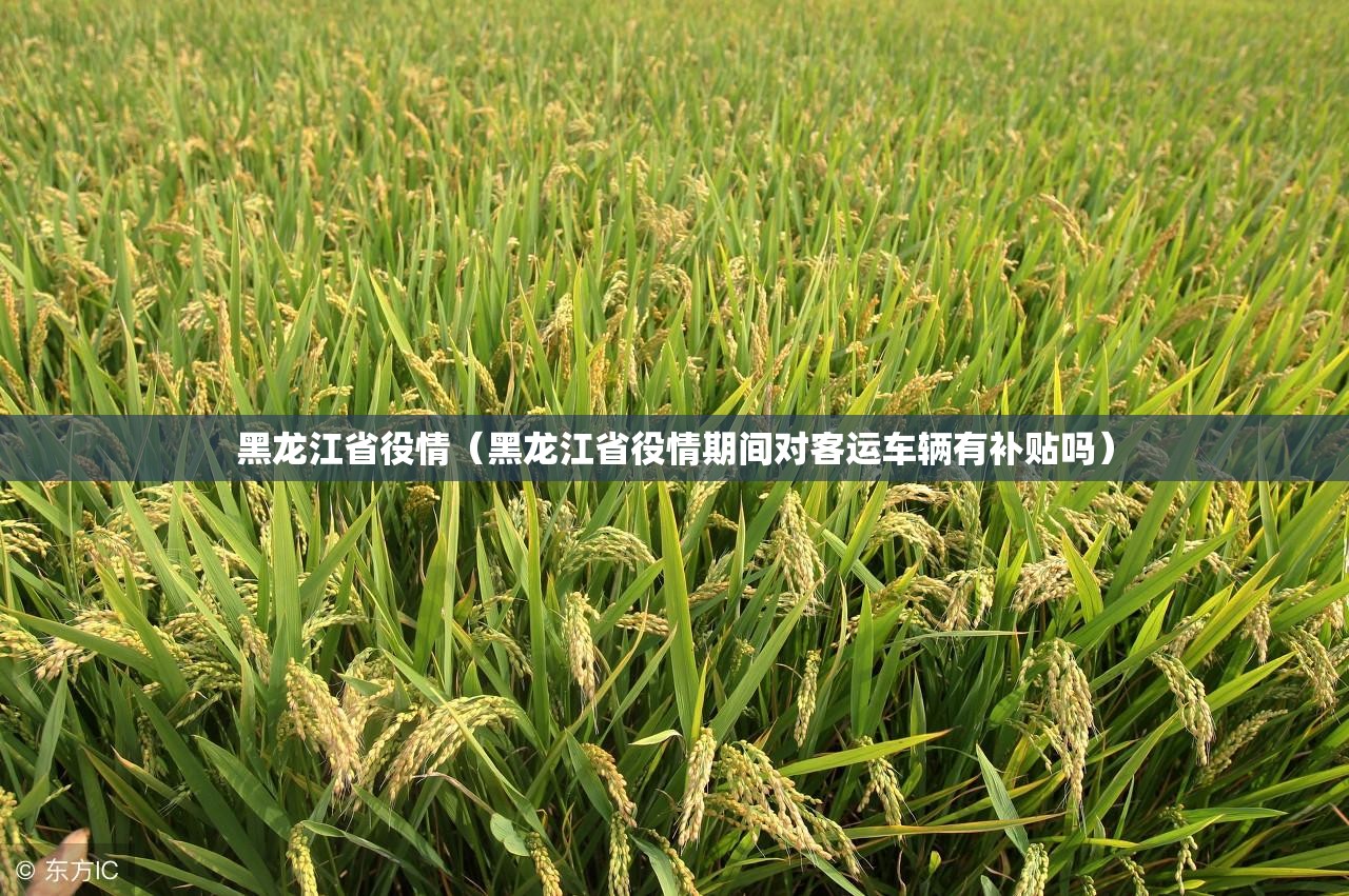 黑龙江省役情（黑龙江省役情期间对客运车辆有补贴吗）