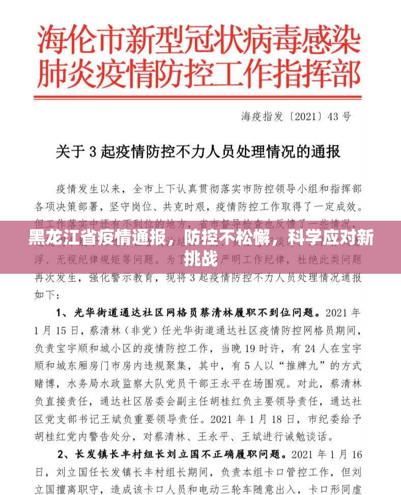 黑龙江省疫情通报，防控不松懈，科学应对新挑战