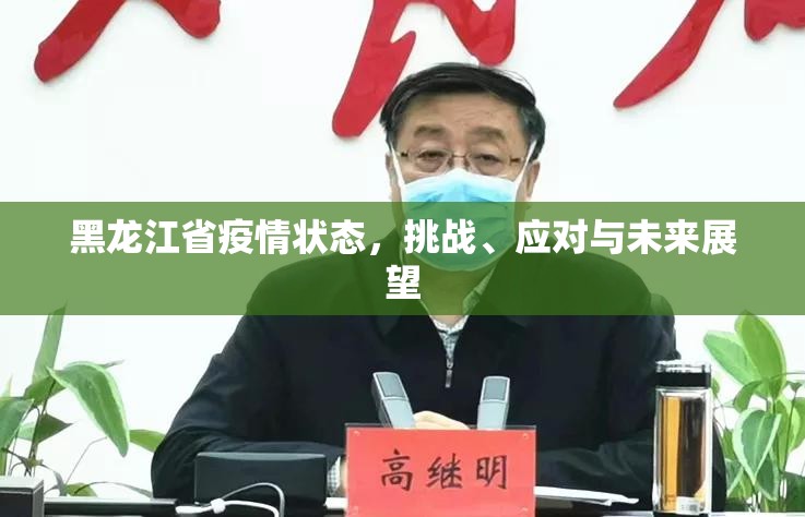 黑龙江省疫情状态,挑战、应对与未来展望