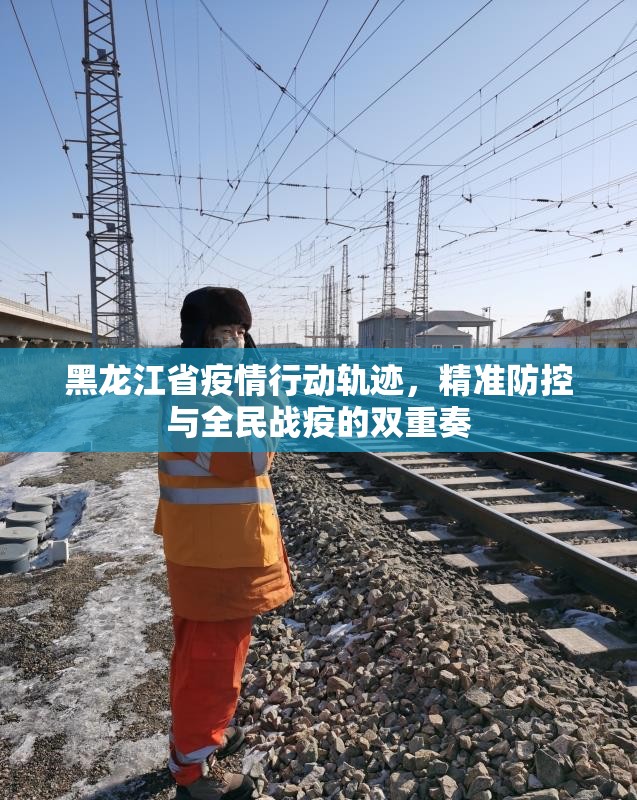 黑龙江省疫情行动轨迹，精准防控与全民战疫的双重奏