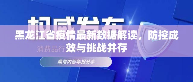 黑龙江省疫情最新数据解读，防控成效与挑战并存