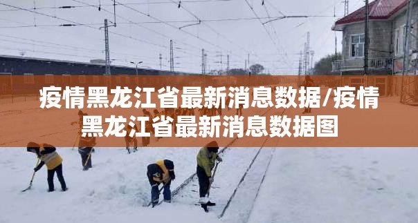 疫情黑龙江省最新消息数据/疫情黑龙江省最新消息数据图