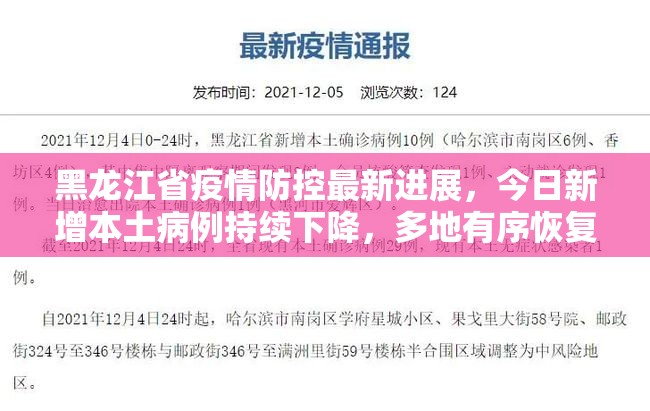 黑龙江省疫情防控最新进展，今日新增本土病例持续下降，多地有序恢复生产生活秩序