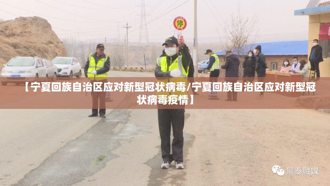 【宁夏回族自治区应对新型冠状病毒/宁夏回族自治区应对新型冠状病毒疫情】