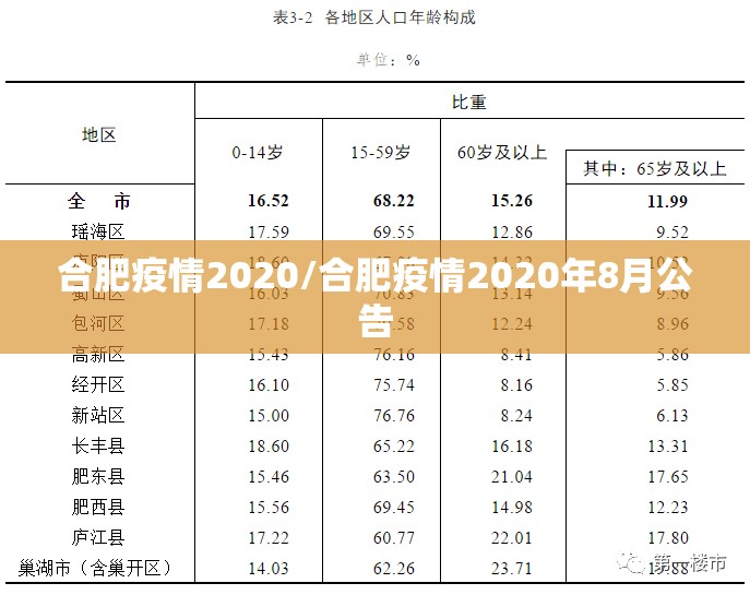合肥疫情2020/合肥疫情2020年8月公告
