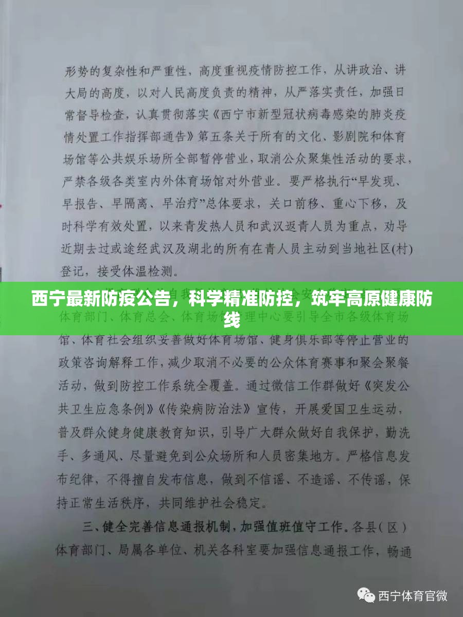 西宁最新防疫公告，科学精准防控，筑牢高原健康防线