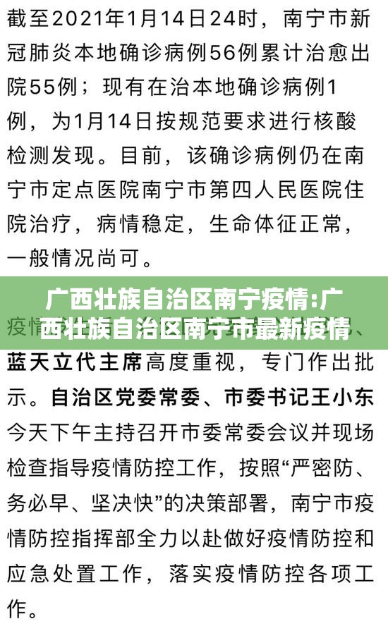 广西壮族自治区南宁疫情:广西壮族自治区南宁市最新疫情