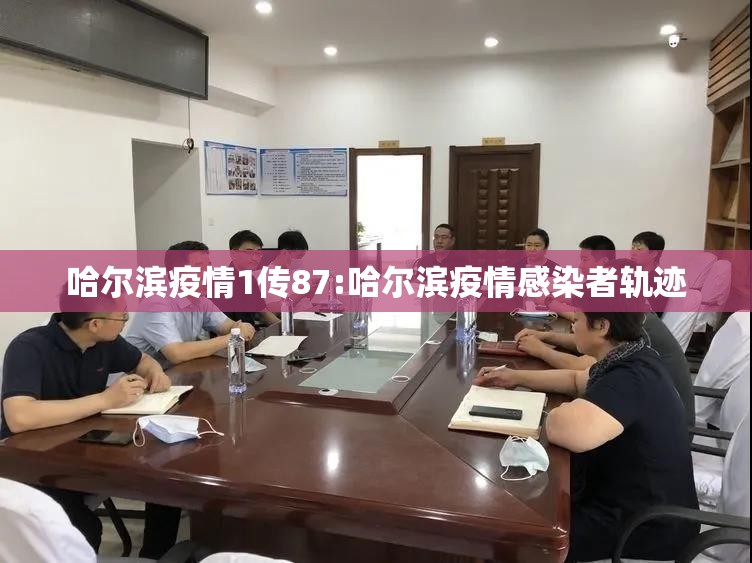 哈尔滨疫情1传87:哈尔滨疫情感染者轨迹
