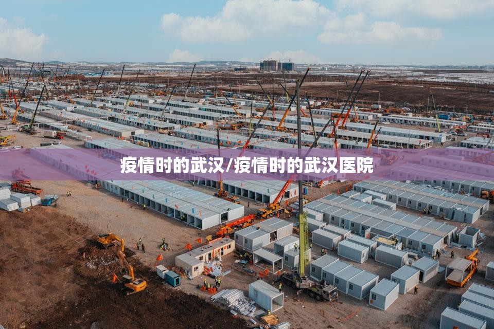 疫情时的武汉/疫情时的武汉医院
