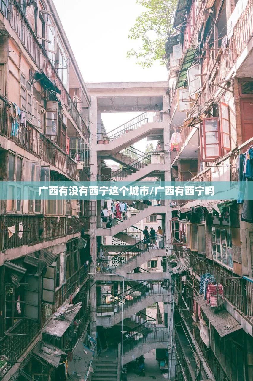 广西有没有西宁这个城市/广西有西宁吗