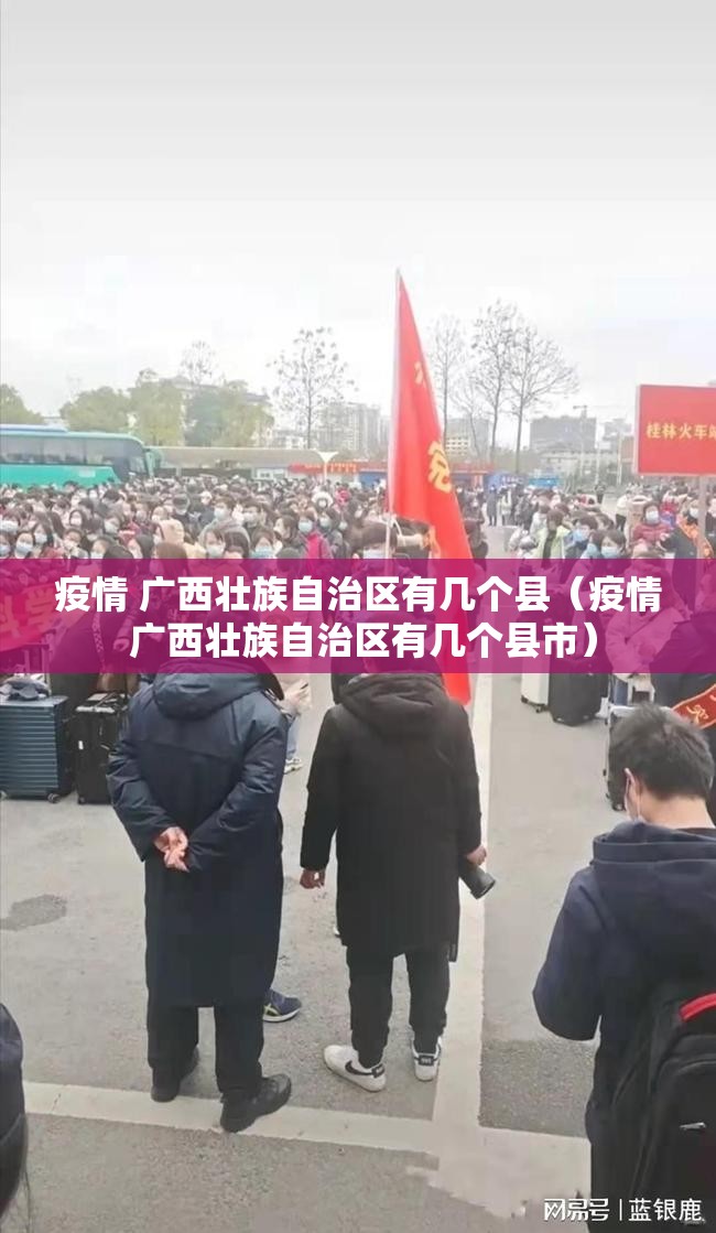 疫情 广西壮族自治区有几个县（疫情 广西壮族自治区有几个县市）