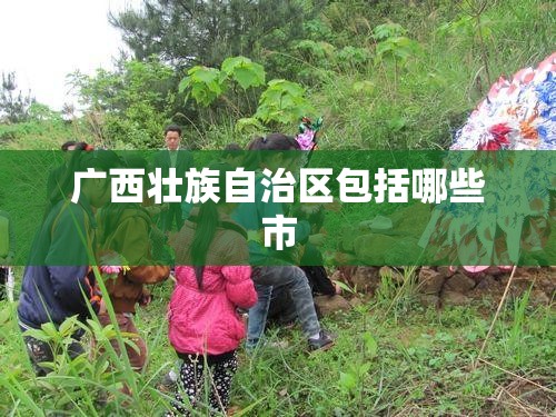 广西壮族自治区包括哪些市