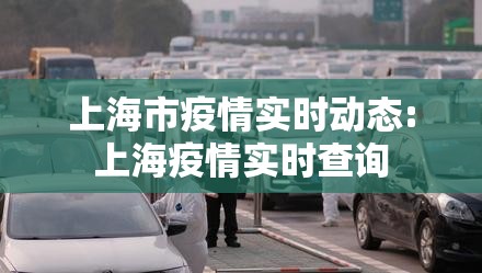 上海市疫情实时动态:上海疫情实时查询