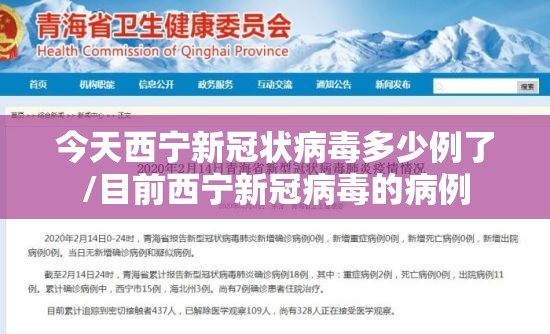今天西宁新冠状病毒多少例了/目前西宁新冠病毒的病例