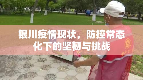 银川疫情现状，防控常态化下的坚韧与挑战