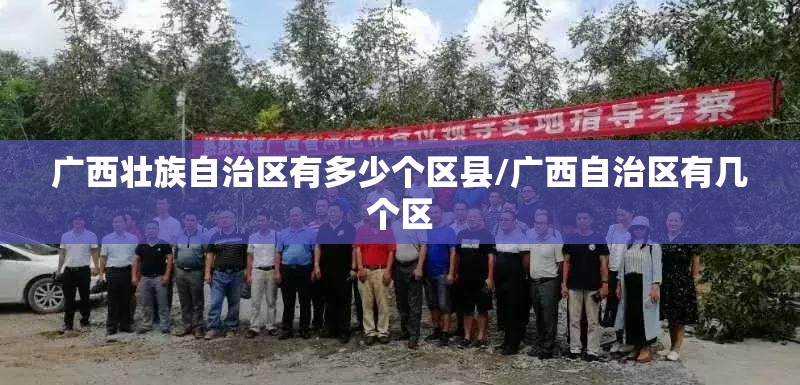 广西壮族自治区有多少个区县/广西自治区有几个区