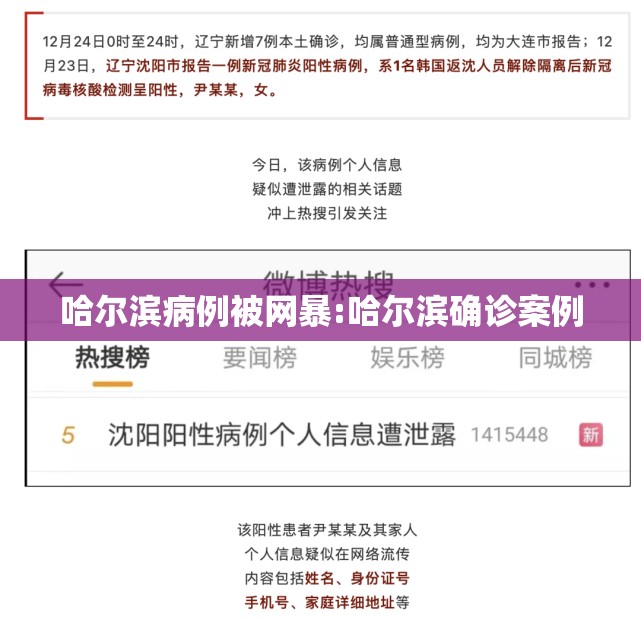 哈尔滨病例被网暴:哈尔滨确诊案例