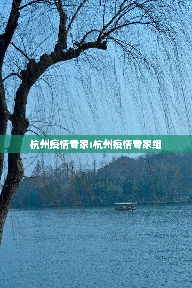 杭州疫情专家:杭州疫情专家组