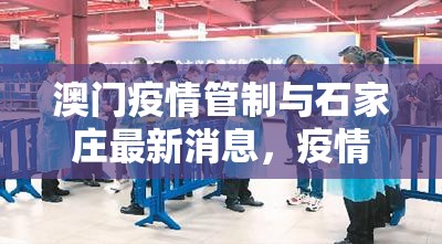 澳门疫情管制与石家庄最新消息，疫情防控下的城市应对与挑战